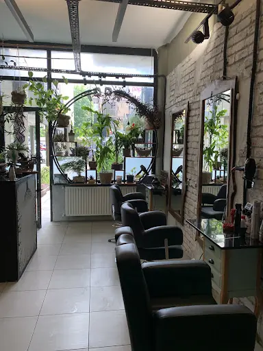 Root hair studio 2