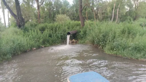 Topçam Koruma Alanı 4