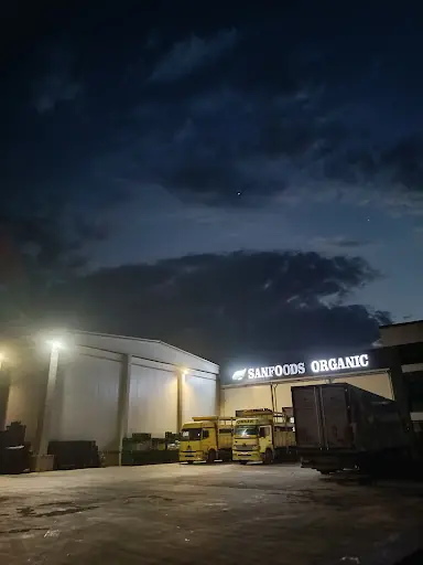 Sandal Sebze Meyve Dondurulmus Gida Deposu