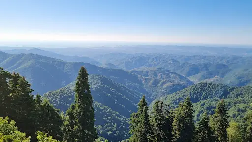 BACAKLI YAYLASI