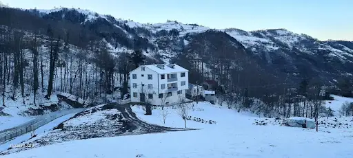 Bektaş Çiftliği 4