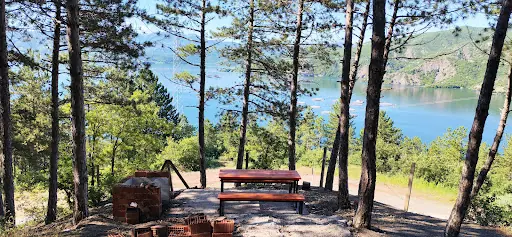 Almus Orman Evleri