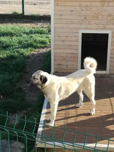 Akıncılar 3