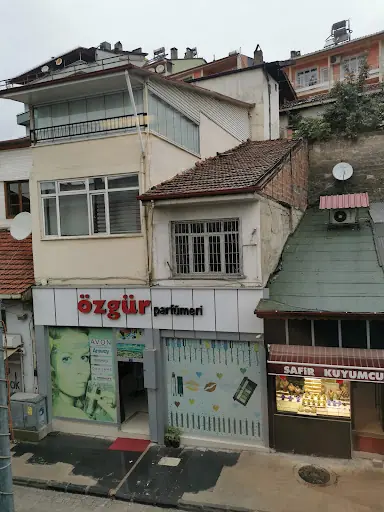 Özgür 3