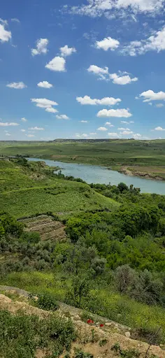 FEQÎYÊ TEYRAN CAFE