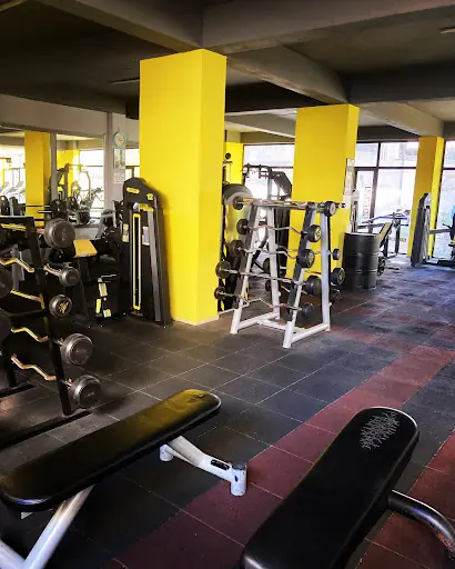 Patruna Power Fitness