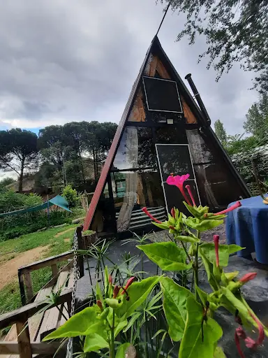 Esdag Camping House 4
