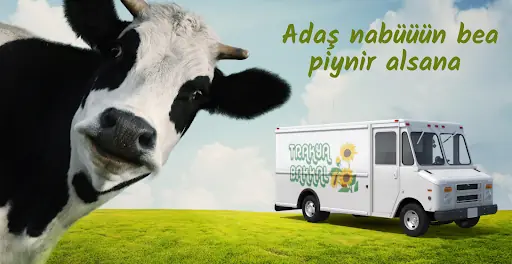 Trakya Bakkal 2