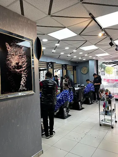 Mavi Makas – Lazer Epilasyon, Ümraniye, İstanbul (4. fotoğraf)