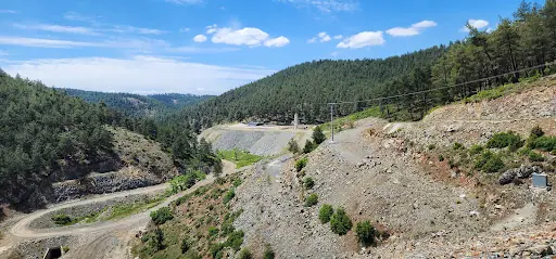 Polis Hatıra Ormanı 4