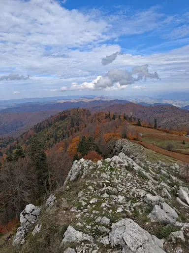 BACAKLI YAYLASI 4