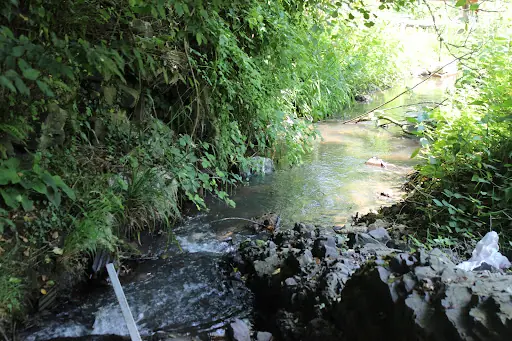Otantik Köprübaşı Garden – Diğer (Güzellik), İstanbul (4. fotoğraf)