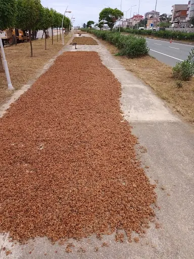 Arsin Toplum Sağlığı Merkez