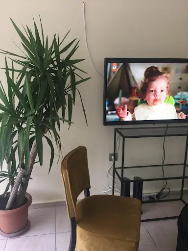 Proline Güzellik Salonu 4