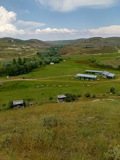 Sivas Hafik Alanyurt Köyü Yardımlaşma Dayanışma Derneği – Diğer (Güzellik), İstanbul