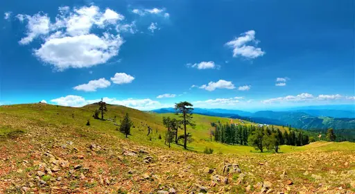 Kurd adem 2