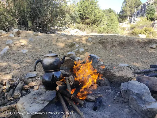 Taşkesiği mesire alanı 2