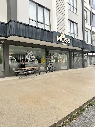 Moss Akademi