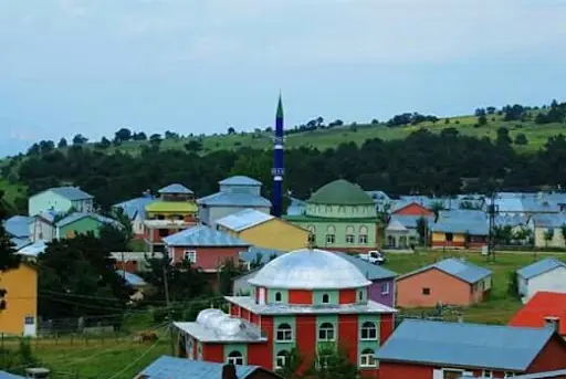 Sarı çiçek yaylası 5