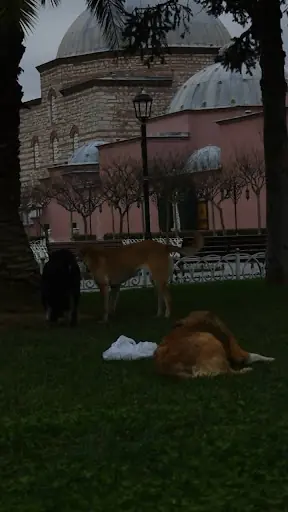 Hürrem Sultan Hamamı 5