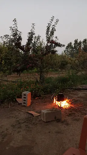 Sulusaray Belediyesi