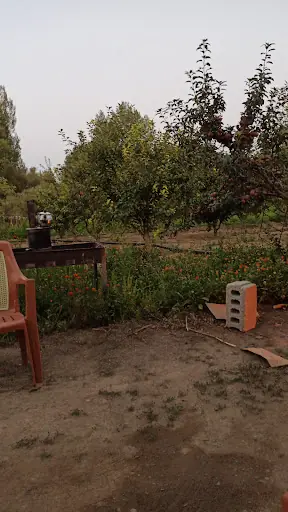 Sulusaray Belediyesi 2