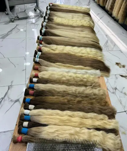 Butterfly Coiffeur