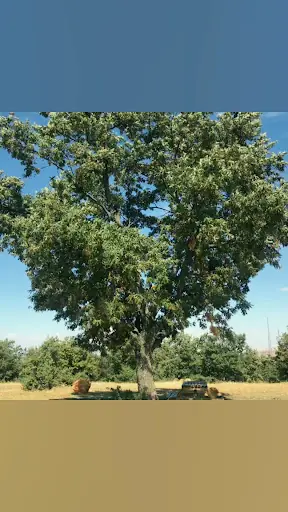 Doğanhisar Belediyesi 3