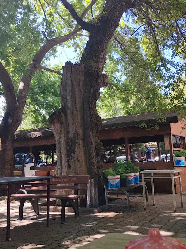 Ovacık Köyü Gebze Kocaeli 4