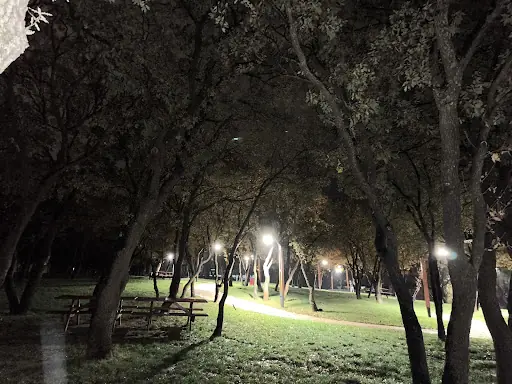 100. Yıl Kent Ormanı – Diğer (Güzellik), İstanbul