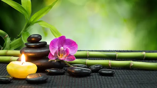 Garmir Spa Wellness
