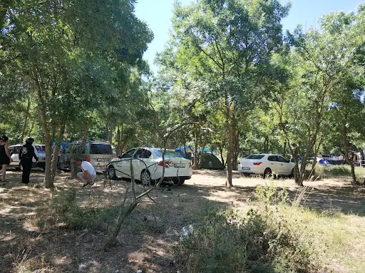 ENEZ BELEDİYE KAMP ALANI 5