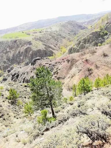 Koyulhisar Belediyesi Şehitler Parkı