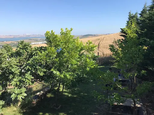 KOCAKAYA Güzel Bahçe – Diğer (Güzellik), Çatalca, İstanbul (2. fotoğraf)