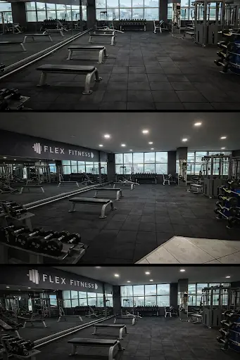 Flex Fitness 4