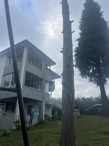 Güler Malikhanesi Ordu