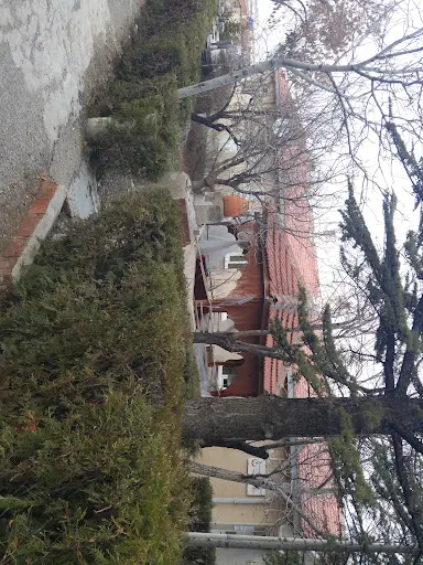 Ahırlı Merkez Aile Sağlığı Merkezi 4