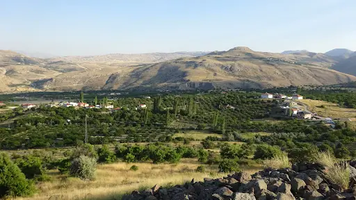 Gürkaynak