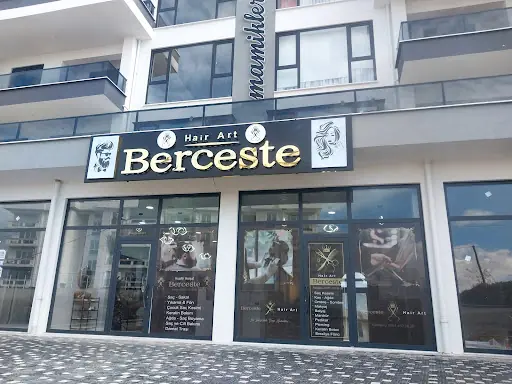Berceste Hair Art 2