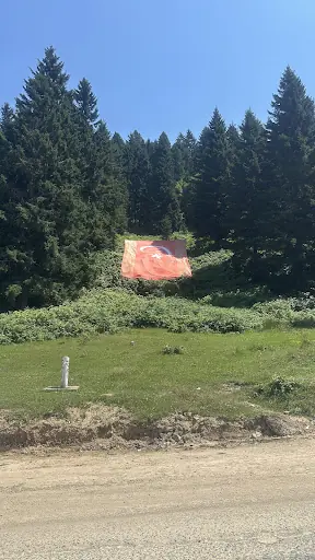 Göllü Alan 4
