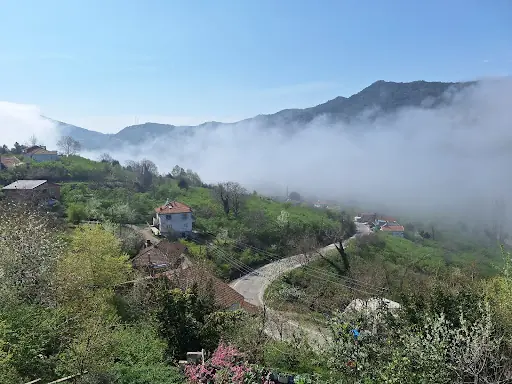 Kurucaşile 4