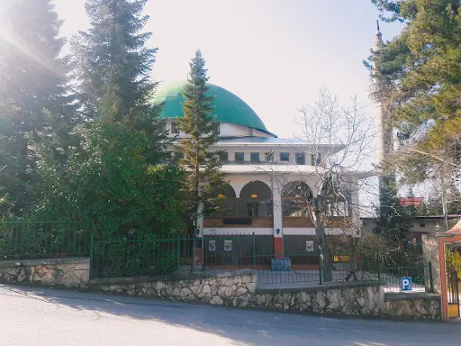 Merkez Cami 3