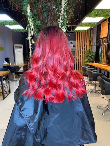 SALON DİLEK MALİ DENİZ