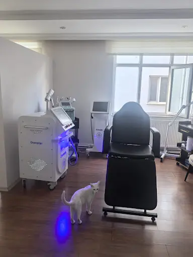 Kamile Konmaz Beauty Güzellik Salonu 3