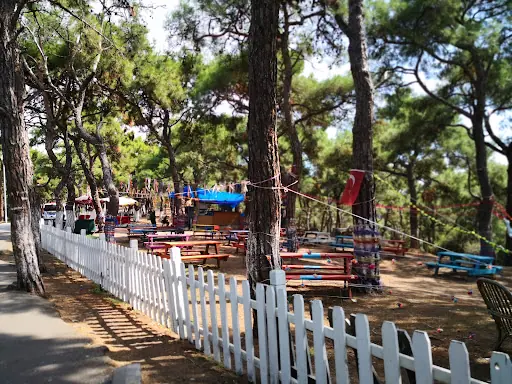Aşıklar Tepesi Mesire Alanı 3