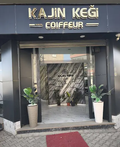 Kajin keği coıffeur 2