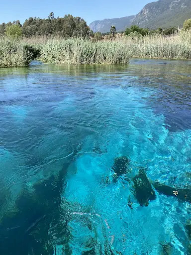 Akyaka Azmak Deresi 5