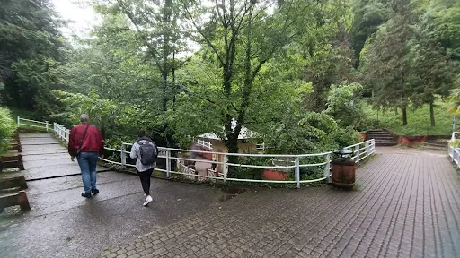 İnhalasyon Kürü 4