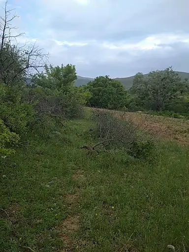Günyüzü Kent Ormanı 3