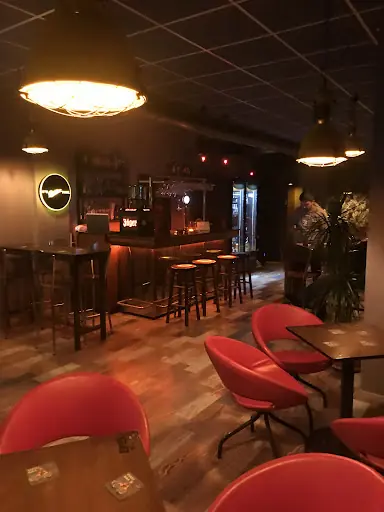 Kaktüs PUB Bayramiç 2